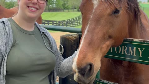 Retired Racehorse Takes Little Nibble