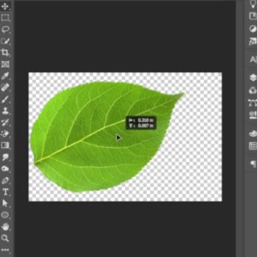 How To Magic Eraser Tool in Photoshop