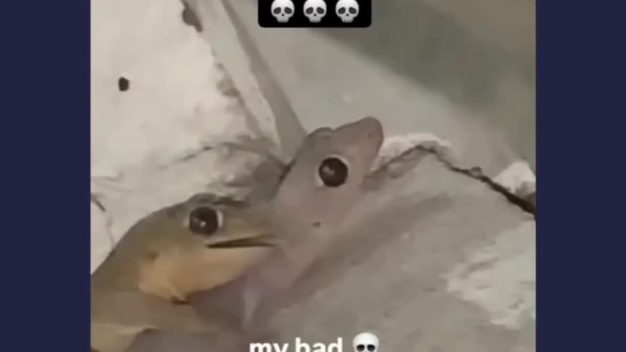 You messed bro's rhythm