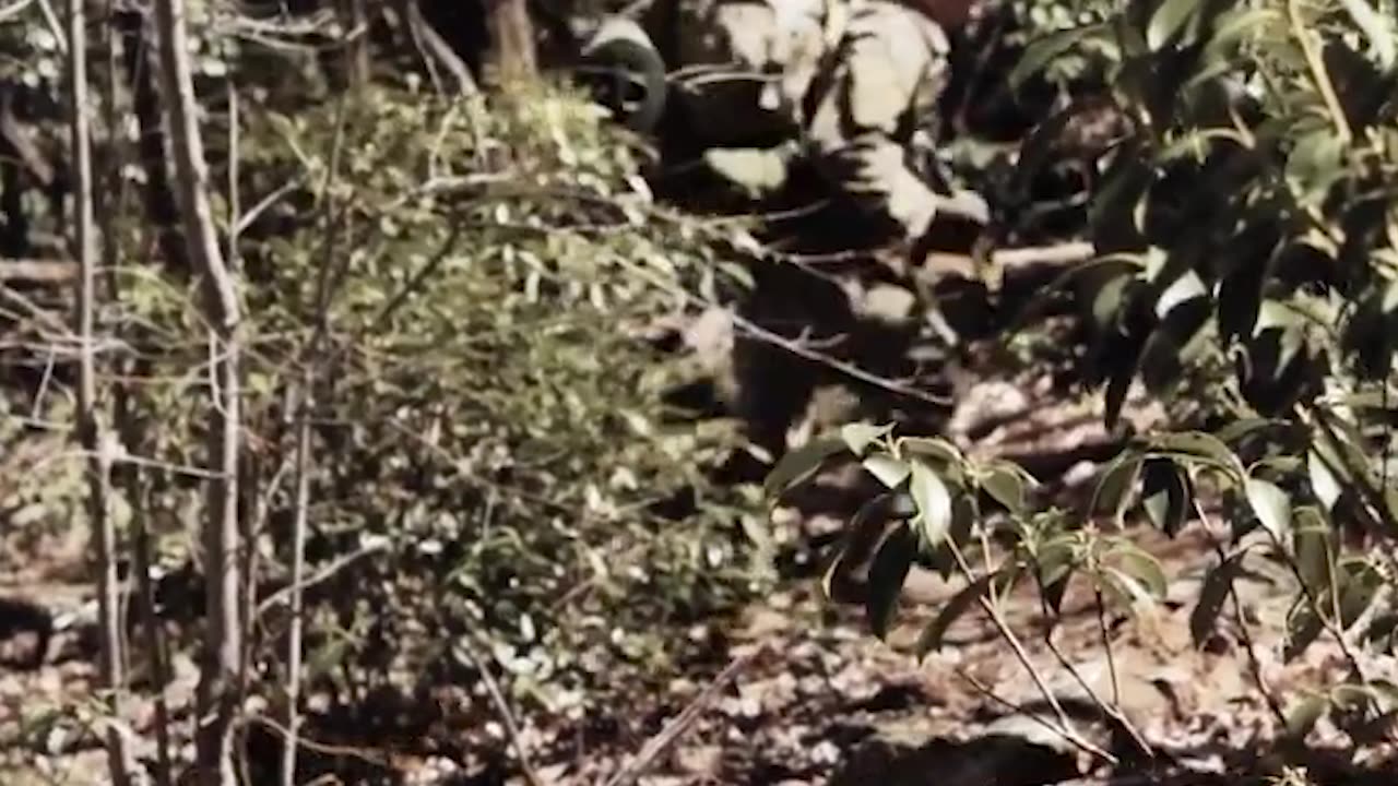 Name something harder than this