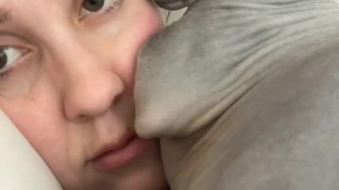 Just Trying to Nap in Peace