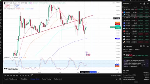 SEC Case To Drop Tmw?! XRP Is Getting Ready To Explode