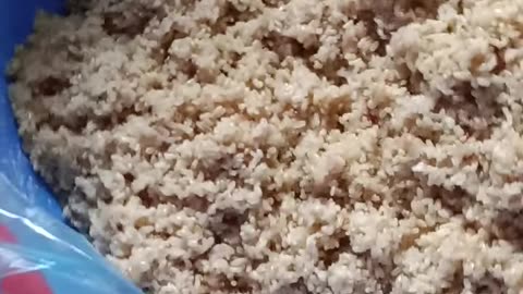 Rustic Rice Wine Vibes