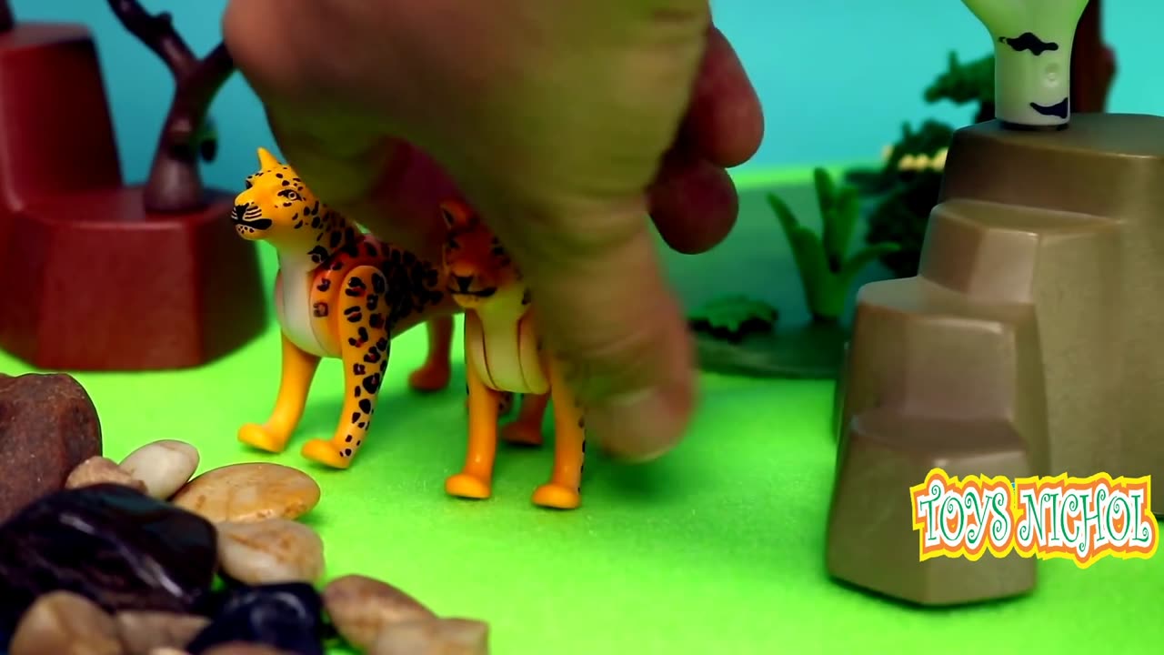 Arrange Rocks on the Edge of Pond for Shrimp to Hide