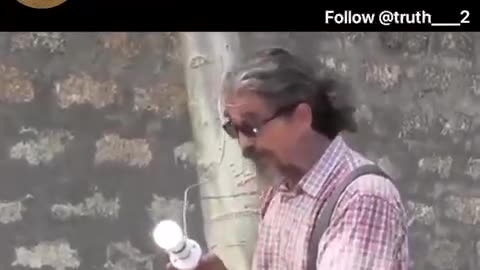 Free electricity from trees?