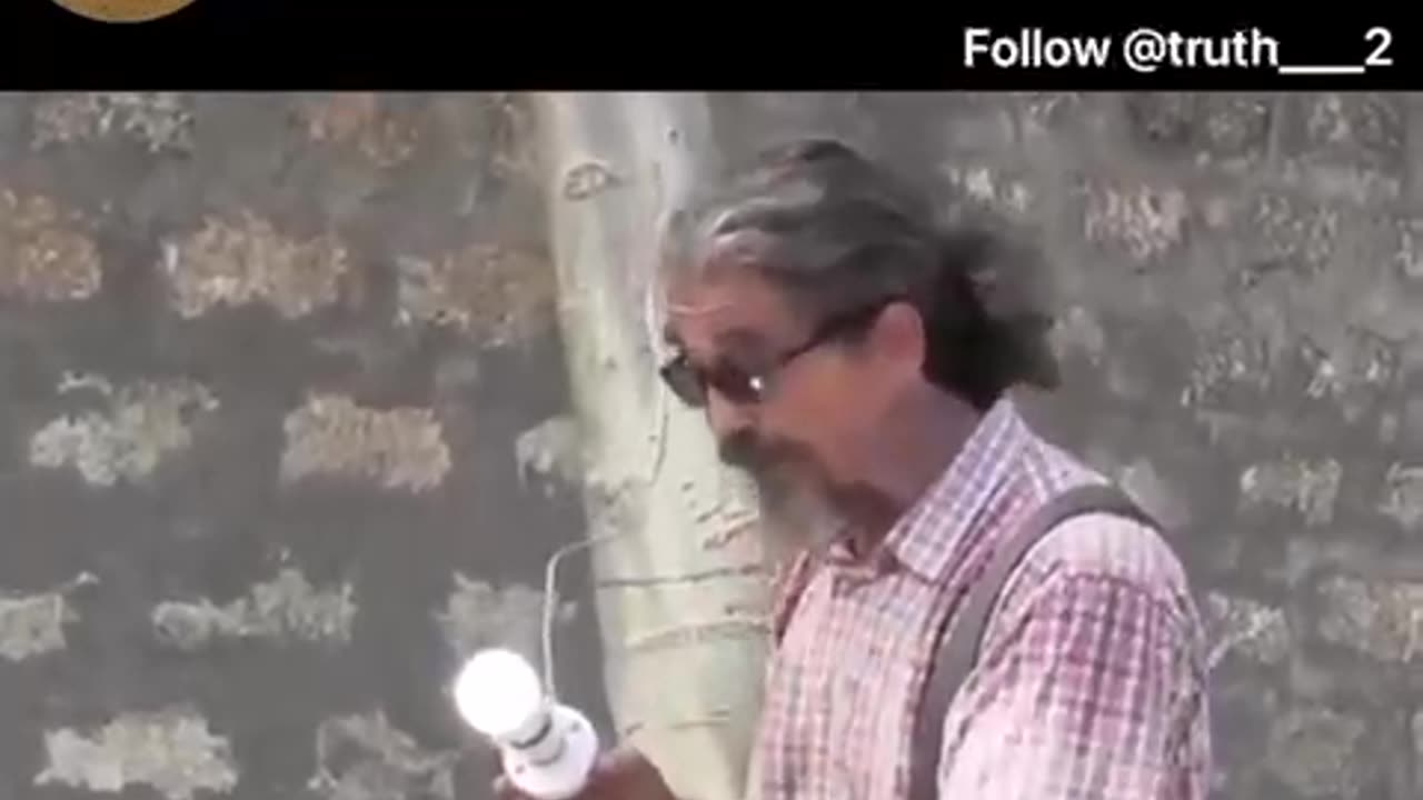 Free electricity from trees?