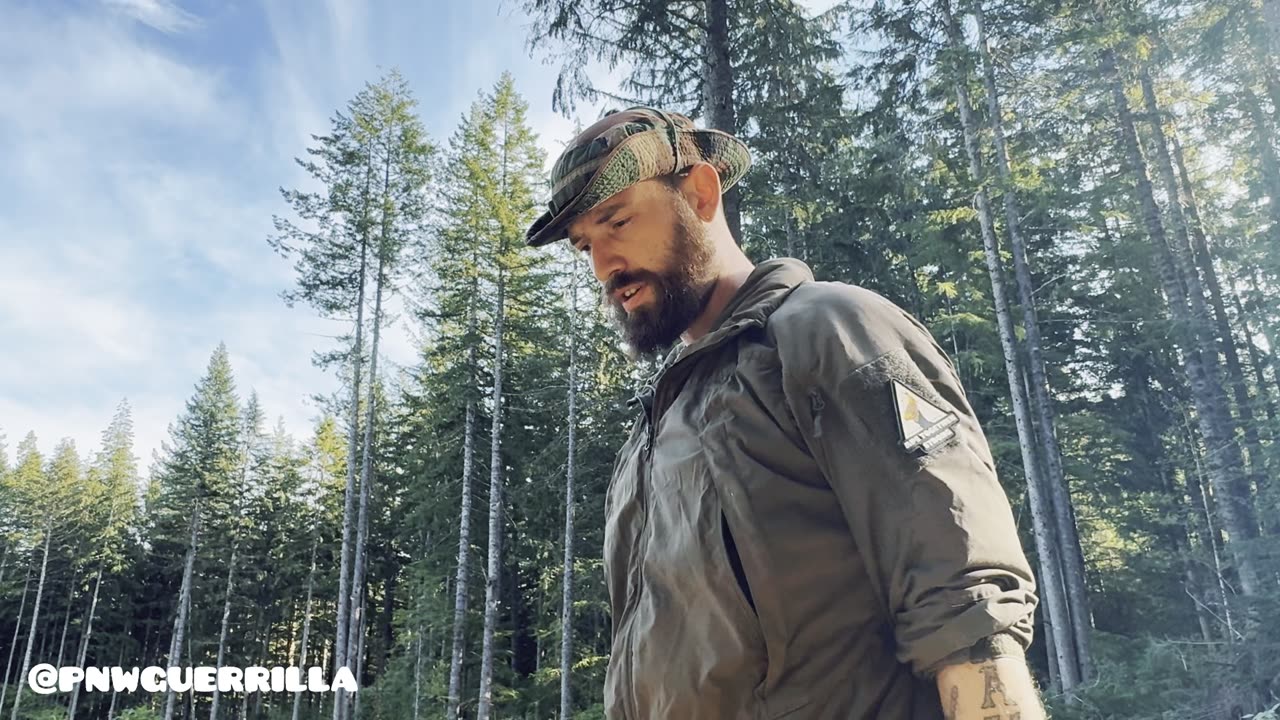 Chicken meme review