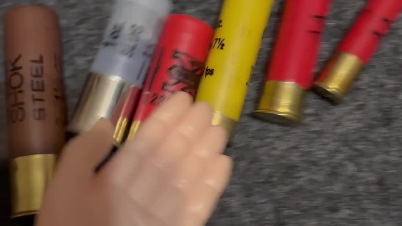 Friday Freedom Seeds with SPH featuring .410, 28, 20, 16, 12, & 10 gauges!!