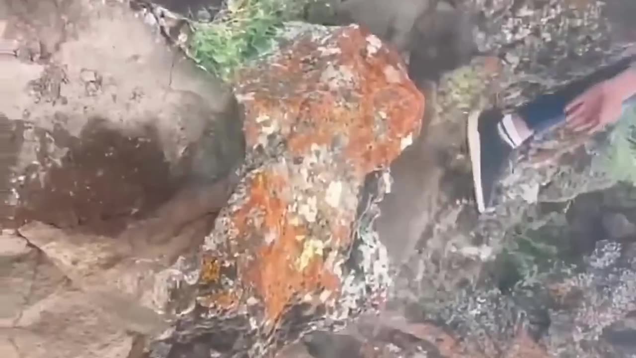 A grand discovery has shocked the world