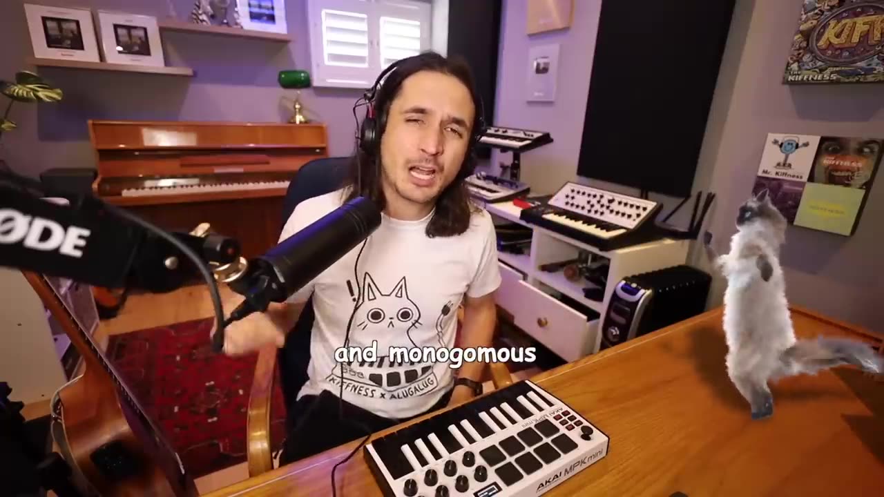 The Kiffness 😝 Doing Catnip Again (Singing Cat Song)
