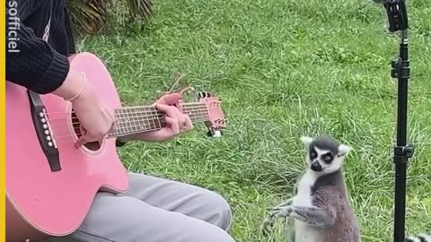 This proves that all animals have feelings and are sensitive creatures.