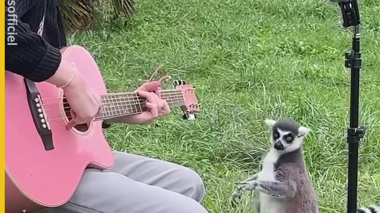 This proves that all animals have feelings and are sensitive creatures.