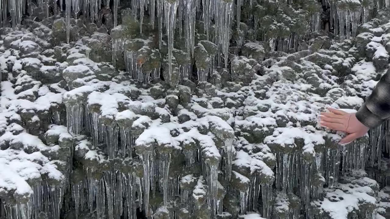 Northern Michigan Ice Storm Freezes Tree Solid