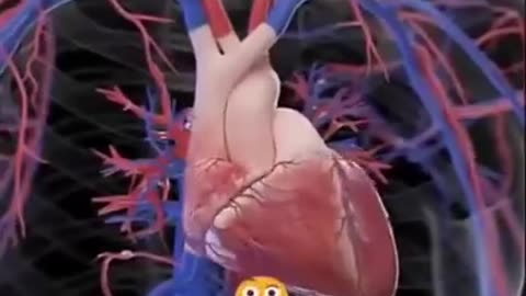 7 Signs Your Body Needs Magnesium