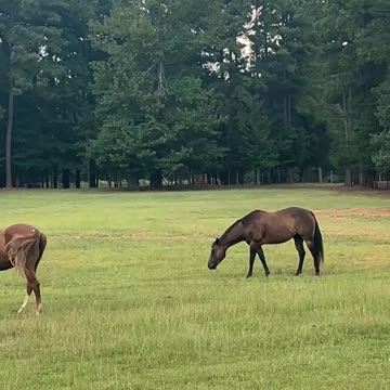 Snacking is more fun when it's cooler outside