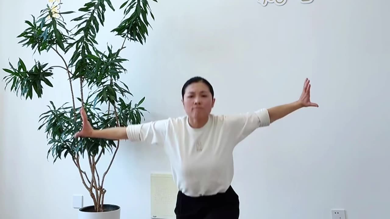 682.歇步移動樁