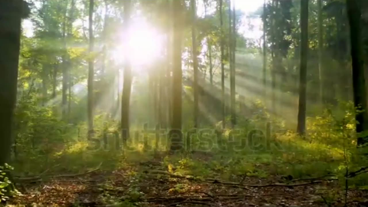 Relaxing Music- peaceful , calm, soothing music for sleep aid and healing.