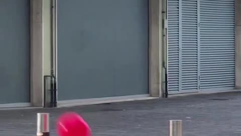 "Cutest balloon bouncer! 🐶🎈 #PuppyPlaytime #BalloonFun #Adorable"