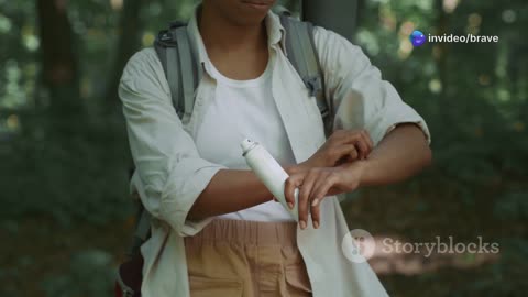 Picnic First-Aid Essentials: Build Your Perfect Outing Medical Kit