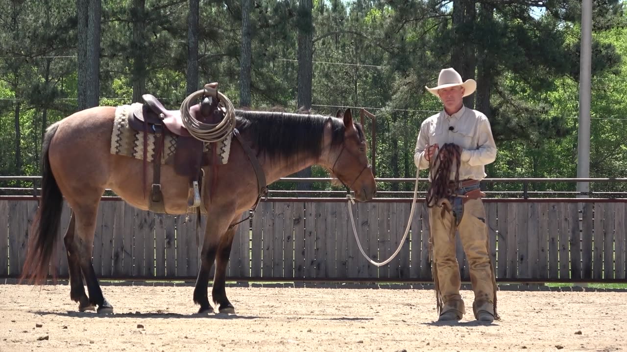 How to Teach a Horse to Neck Rein Part 1 Preview