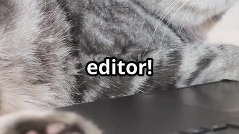 Part 3: Funny Habits of Cats and Dogs