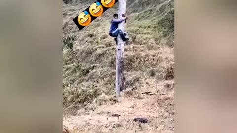 TRY NOT TO LAUGH 😂 Best Funny Moments 🤣 MEMES PART 3