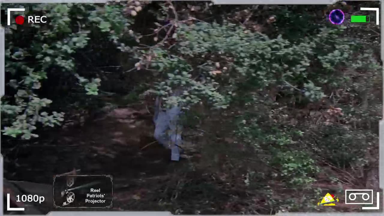 Really Ridiculous Robotics