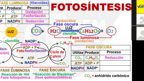 VONEX REPASO 2025 | Semana 03 | Biología S1