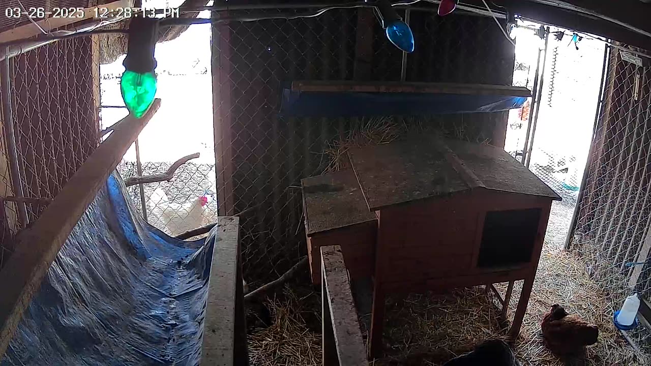 Mid-day Check In!