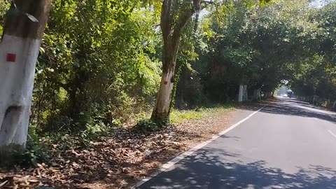 Nature and road in india