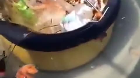 THE INVENTION OF THE SEABIN TO CLEAN UP MARINAS