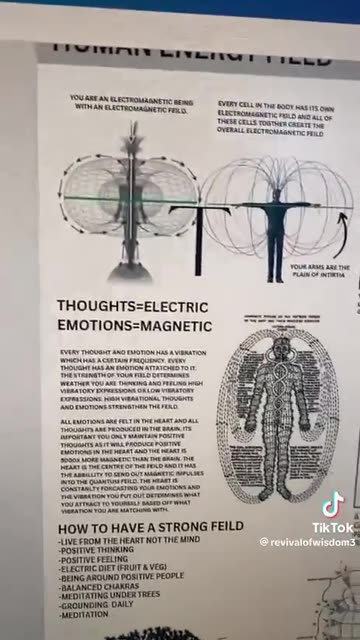 the human energy field is deeply affected by 5G.