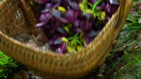 Ancient Spring Flower Meals: Forgotten Blooms That Healed the Gut"
