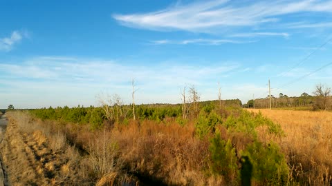 Nature Is Beautiful - God's Grocery Store
