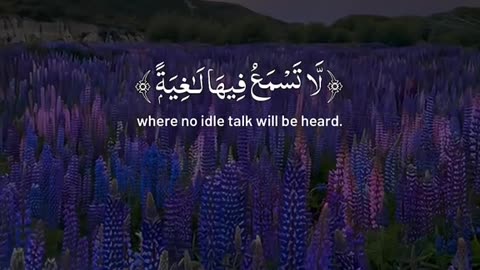 Jazakallah Subahanallah ♥️✨🕊️