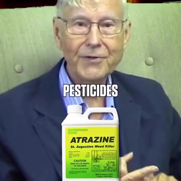 Warning ⚠️🤦‍♂️ shrimps are dangerous to consume, watch carefully.