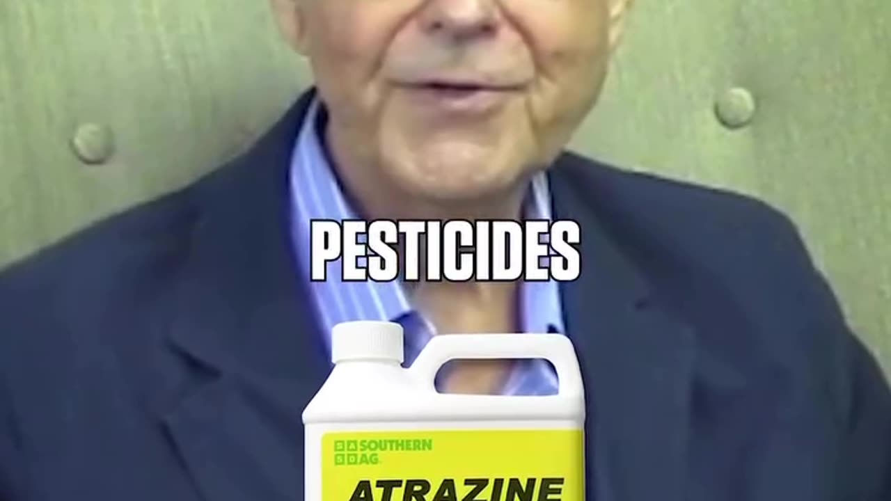 Warning ⚠️🤦‍♂️ shrimps are dangerous to consume, watch carefully.