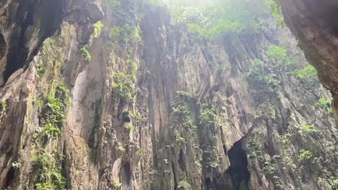 Free Nature Videos Nature HD VIDEOS Free HD Videos