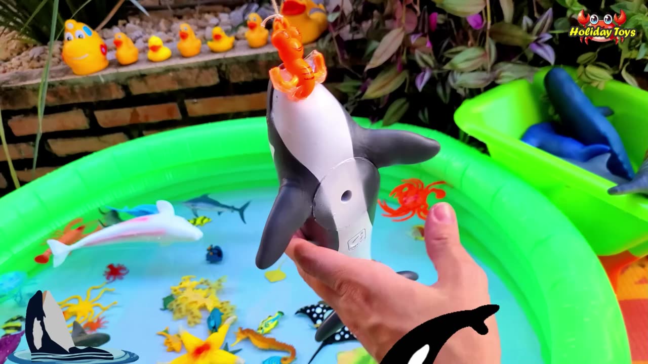 Worms Hide in the Sand to Avoid Pufferfish