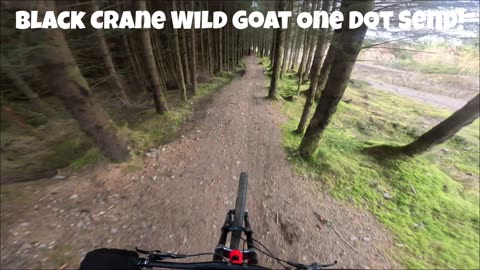 Love you're bike Wild Sends Black Crane World Champs One Dot Orange Fort William viral
