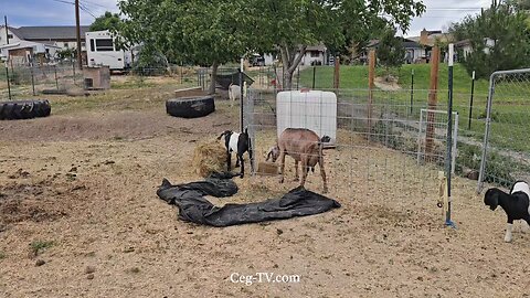 Graham Family Farm NW: 6:50 PM June 26 2025