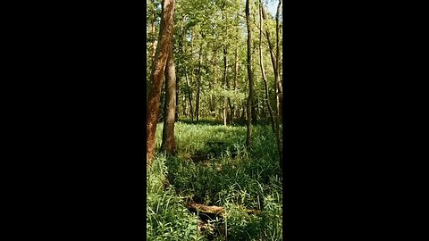 请复习这周经文 和祷告。 感谢主赐我们一切， 并且与我们同在。 阿门