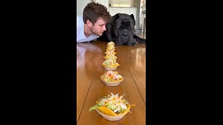 Love All Life Always #353 - Snack Time With The Dog Vacuum Cleaner...😂😯🤣