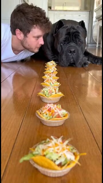 Love All Life Always #353 - Snack Time With The Dog Vacuum Cleaner...😂😯🤣