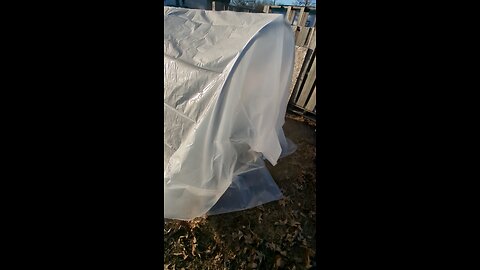 Mini Hoop House Garden Bed / First mistake of the season