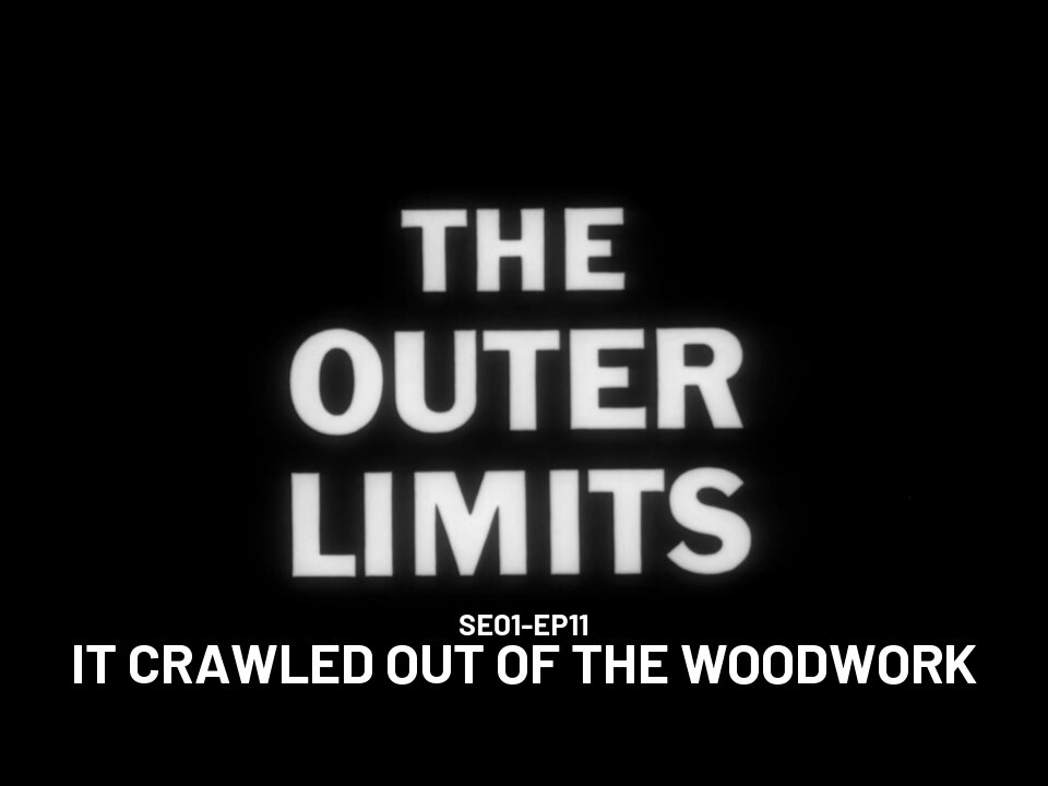 The Outer Limits - SE01 EP11 (1963)
