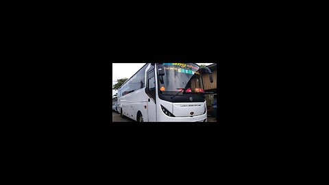 BEAUTYFULL 3d bus