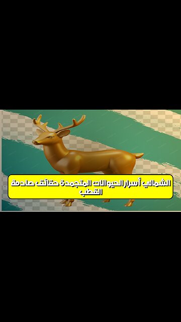 القطب الشمالي: أسرار الحيوانات المتجمدة | حقائق صادمة #القطب_الشمالي #حيوانات #أسرار