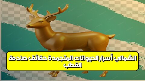 القطب الشمالي: أسرار الحيوانات المتجمدة | حقائق صادمة #القطب_الشمالي #حيوانات #أسرار