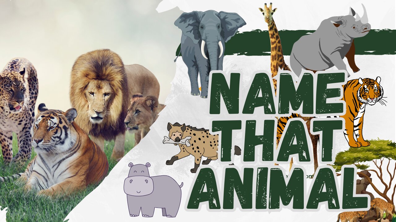 Name that Animal!!